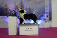 /album/jack/img-0012-3-jpg2/